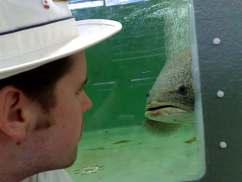 David M. Green enjoying a cod